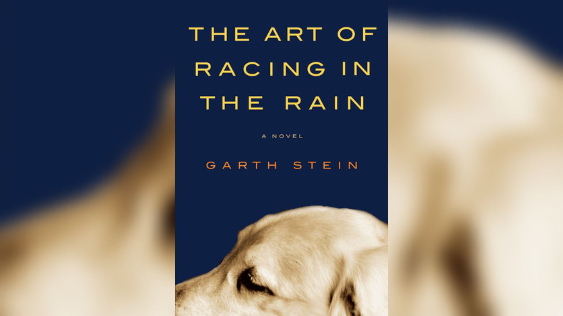 《雨中赛车的艺术》书评