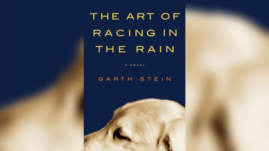 《雨中的赛车艺术》书评